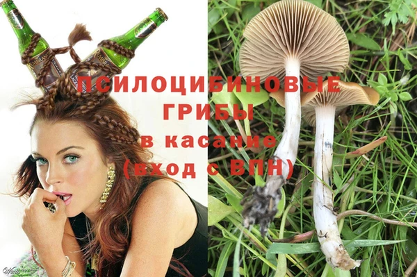 прущая мука Нефтекумск