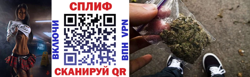 Купить где Лысково Канабис планчик